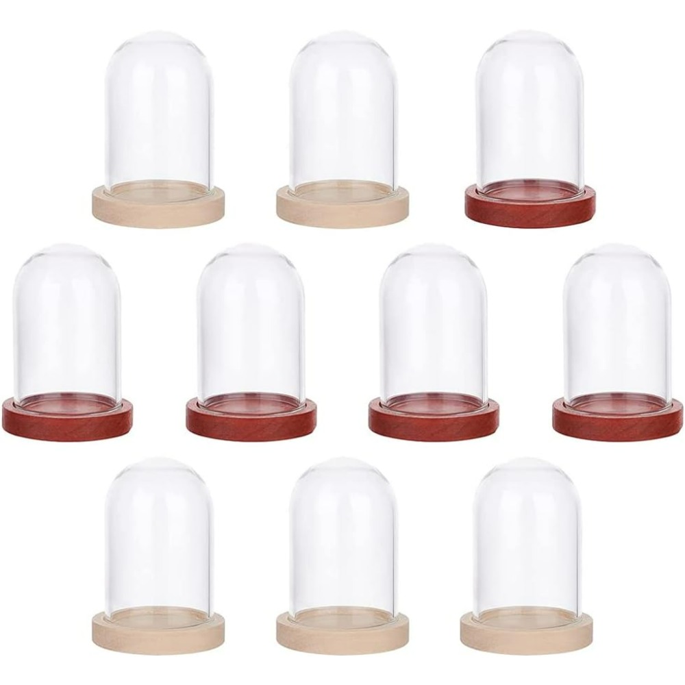 Glass Container Set - 10 ชุด Mini Eternal ดอกไม้แก้วโดม Cloche