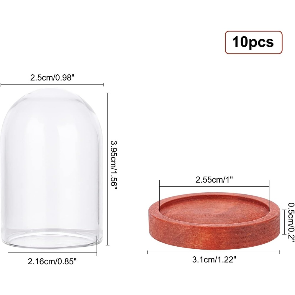 10 ชุด Mini Eternal ดอกไม้แก้ว - Glass Container Set บทวิจารณ์และราคา